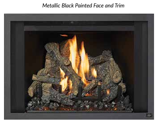 FPX-Lopi 616 Deluxe Gas Insert